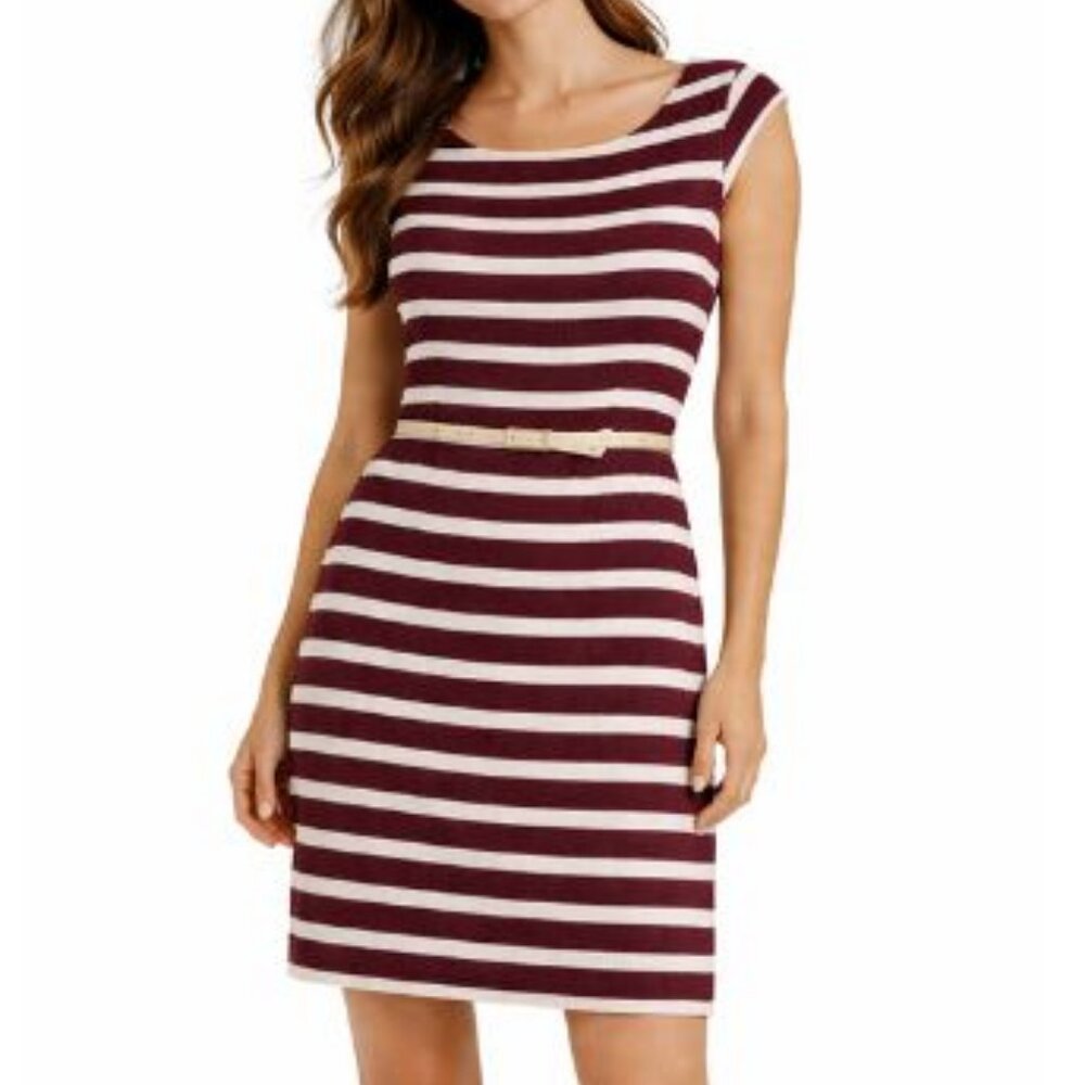 Banana Republic Factory Chic Burgundy and White Cotton Striped Mini Dress